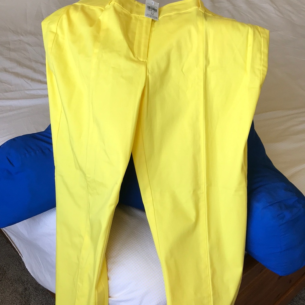 Ann Taylor Carnegie crop